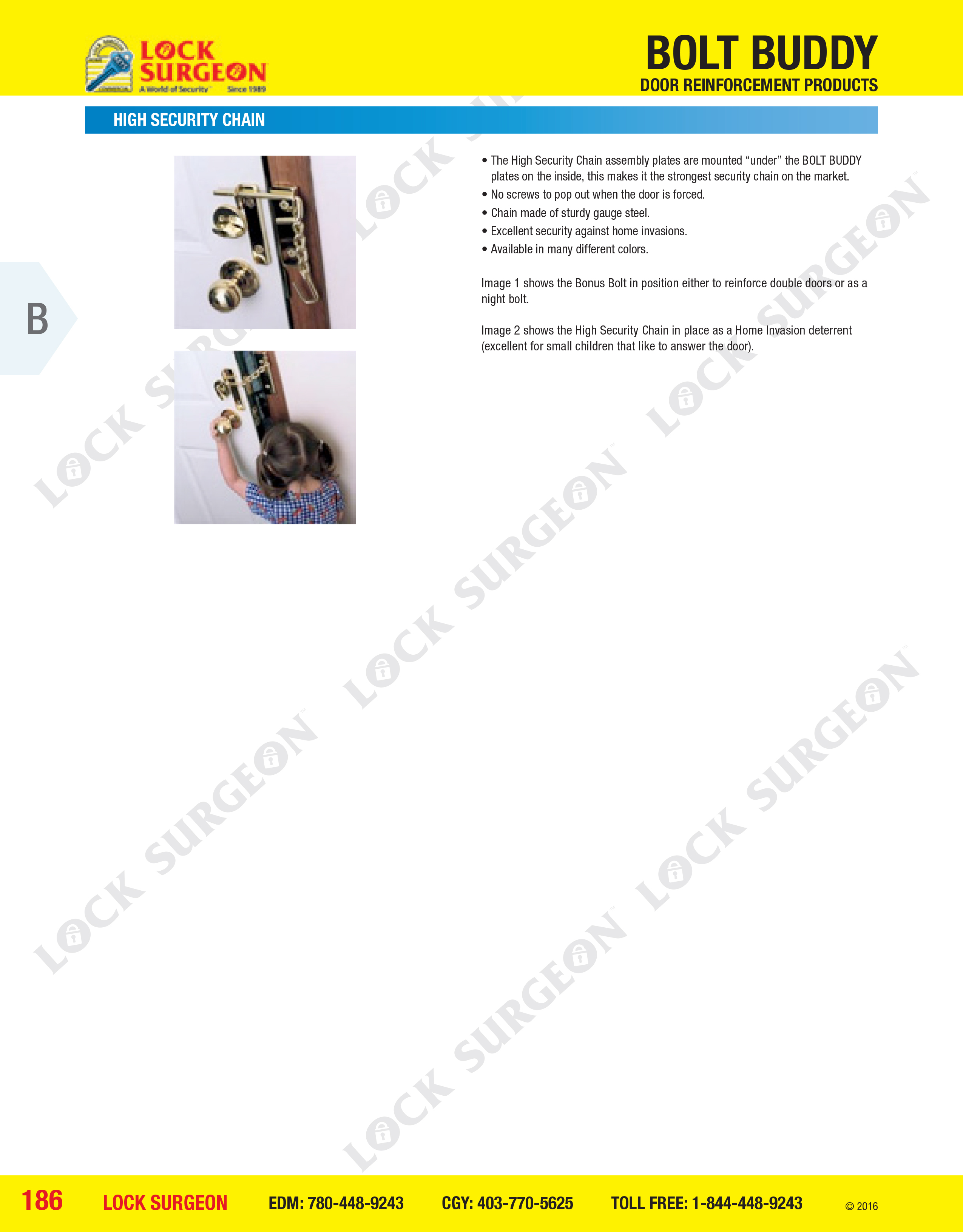 Cochrane High security chain assembly.